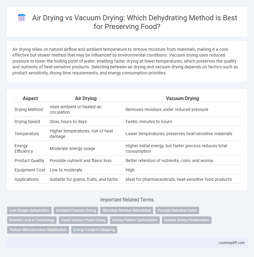 Air Drying vs Vacuum Drying: Which Dehydrating Method is Best for Preserving Food?