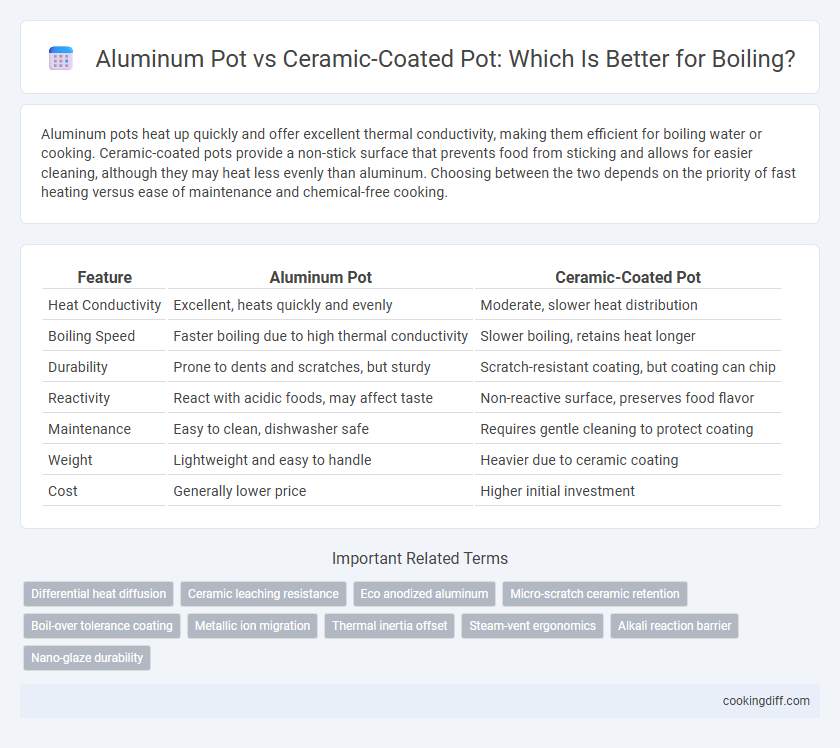 Aluminum Pot vs Ceramic-Coated Pot: Which Is Better for Boiling?
