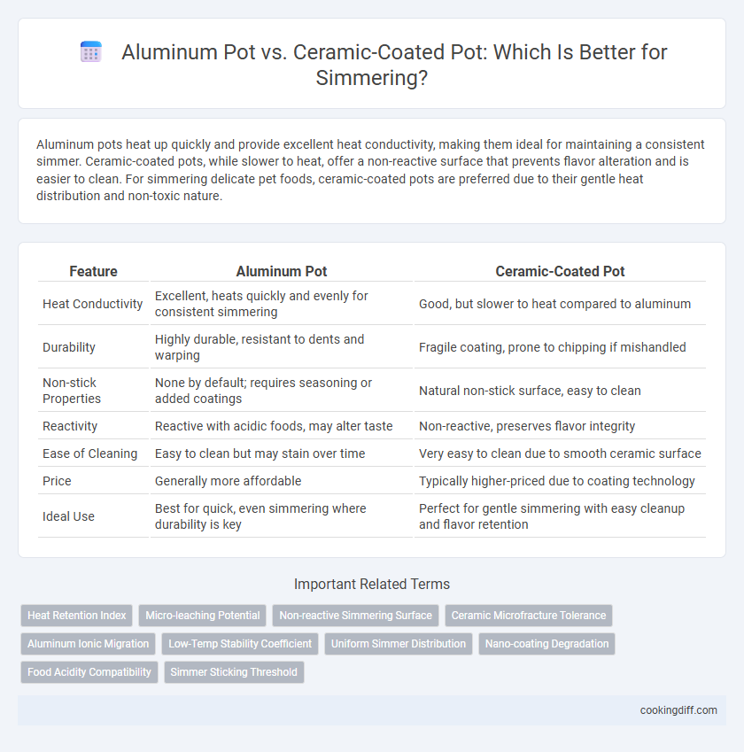 Aluminum Pot vs. Ceramic-Coated Pot: Which Is Better for Simmering?