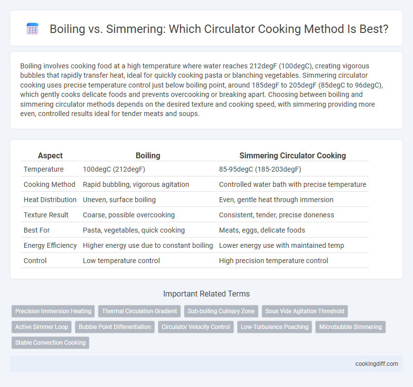 Boiling vs. Simmering: Which Circulator Cooking Method Is Best?