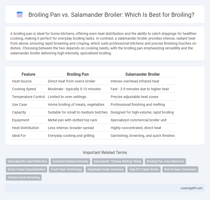Broiling Pan vs. Salamander Broiler: Which Is Best for Broiling?