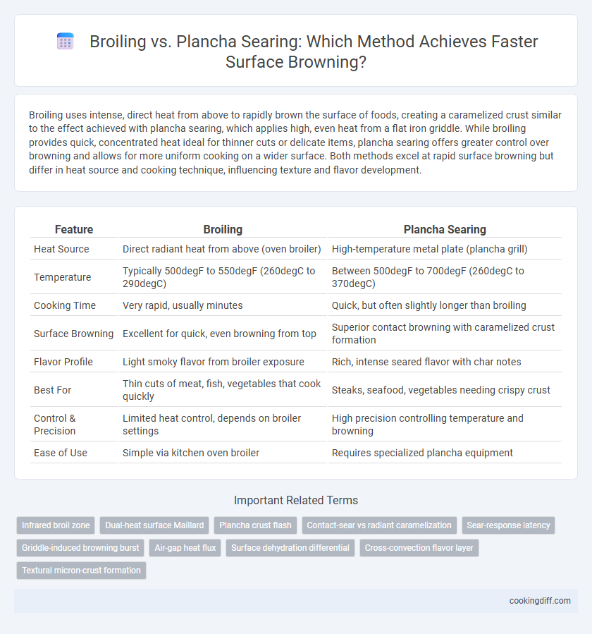 Broiling vs. Plancha Searing: Which Method Achieves Faster Surface Browning?