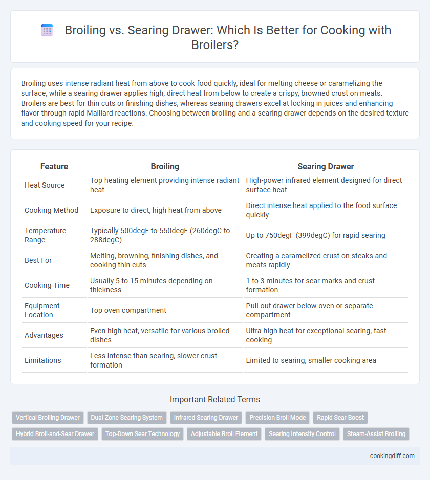 Broiling vs. Searing Drawer: Which Is Better for Cooking with Broilers?