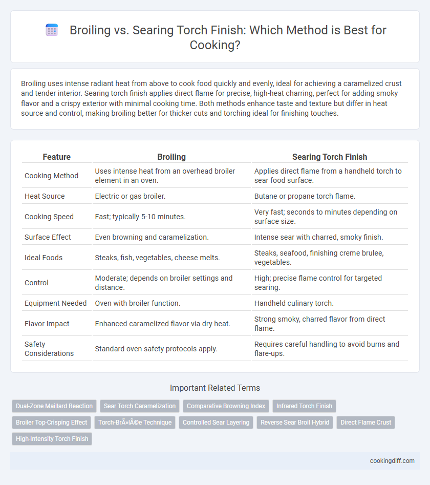 Broiling vs. Searing Torch Finish: Which Method is Best for Cooking?
