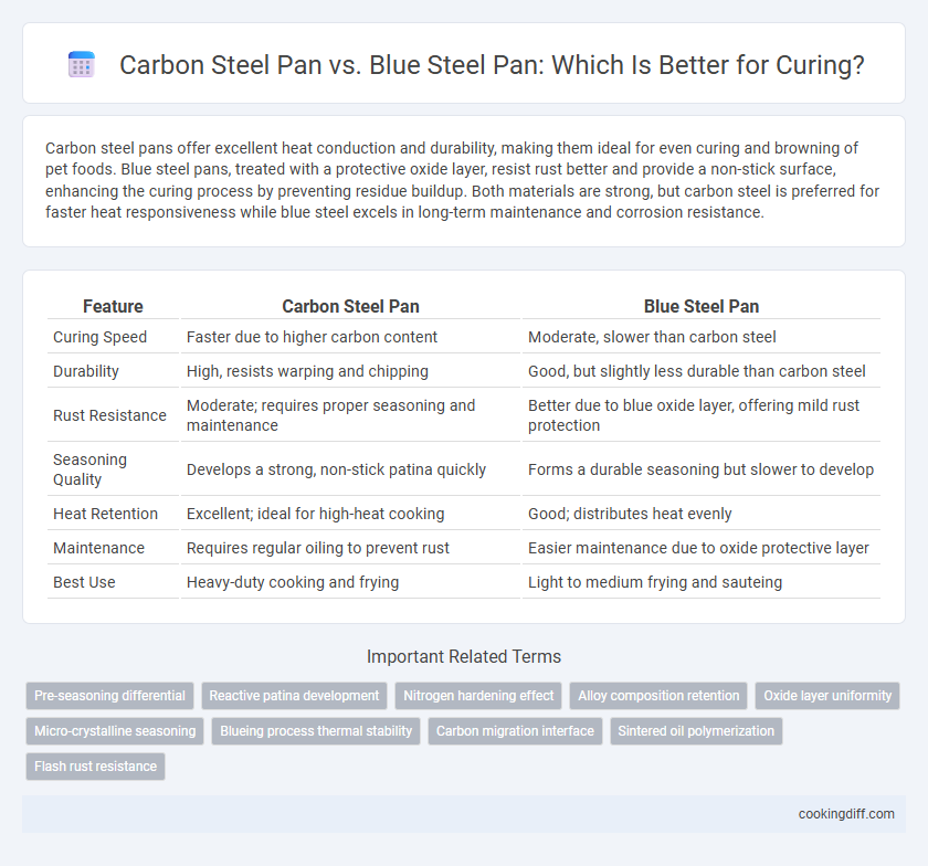 Carbon Steel Pan vs. Blue Steel Pan: Which Is Better for Curing?