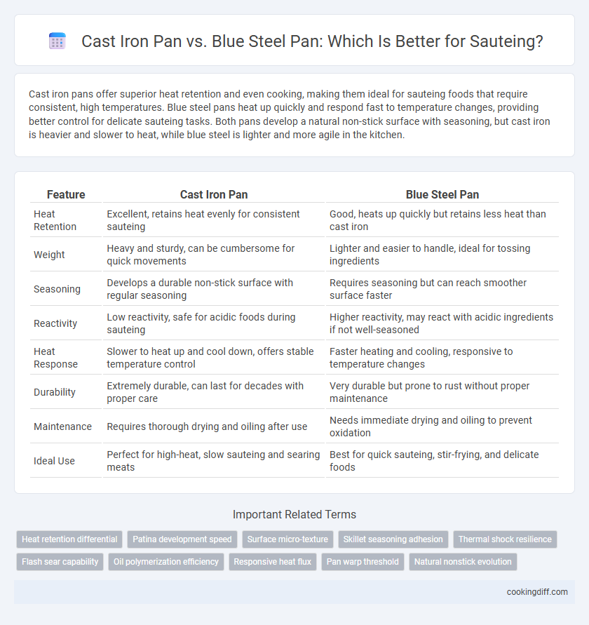 Cast Iron Pan vs. Blue Steel Pan: Which Is Better for Sauteing?