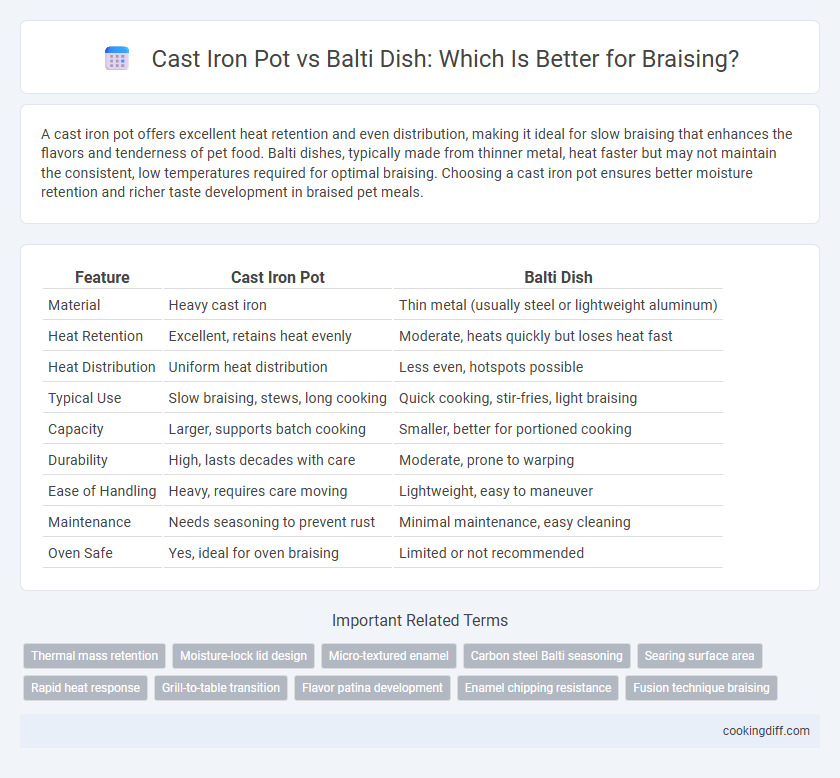 Cast Iron Pot vs Balti Dish: Which Is Better for Braising?