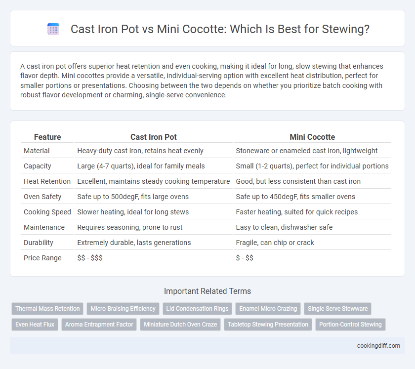 Cast Iron Pot vs Mini Cocotte: Which Is Best for Stewing?
