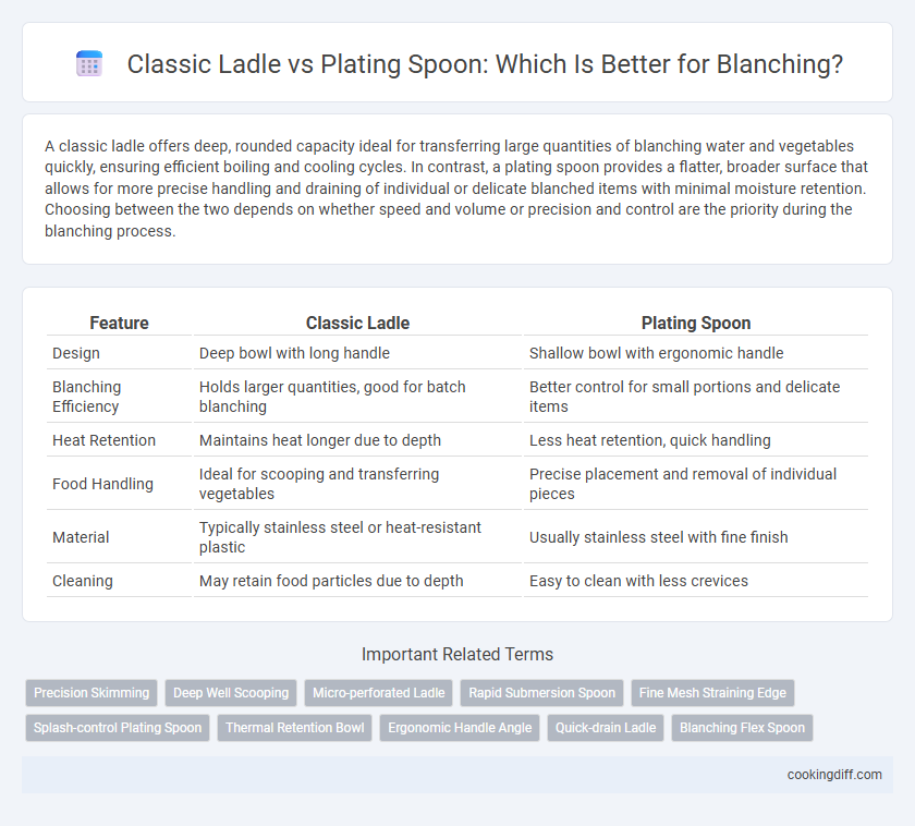 Classic Ladle vs Plating Spoon: Which Is Better for Blanching?