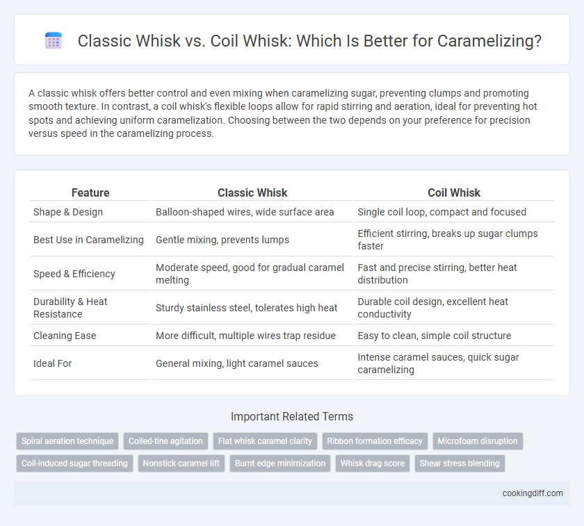 Classic Whisk vs. Coil Whisk: Which Is Better for Caramelizing?