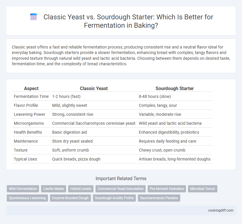 Classic Yeast vs. Sourdough Starter: Which Is Better for Fermentation in Baking?