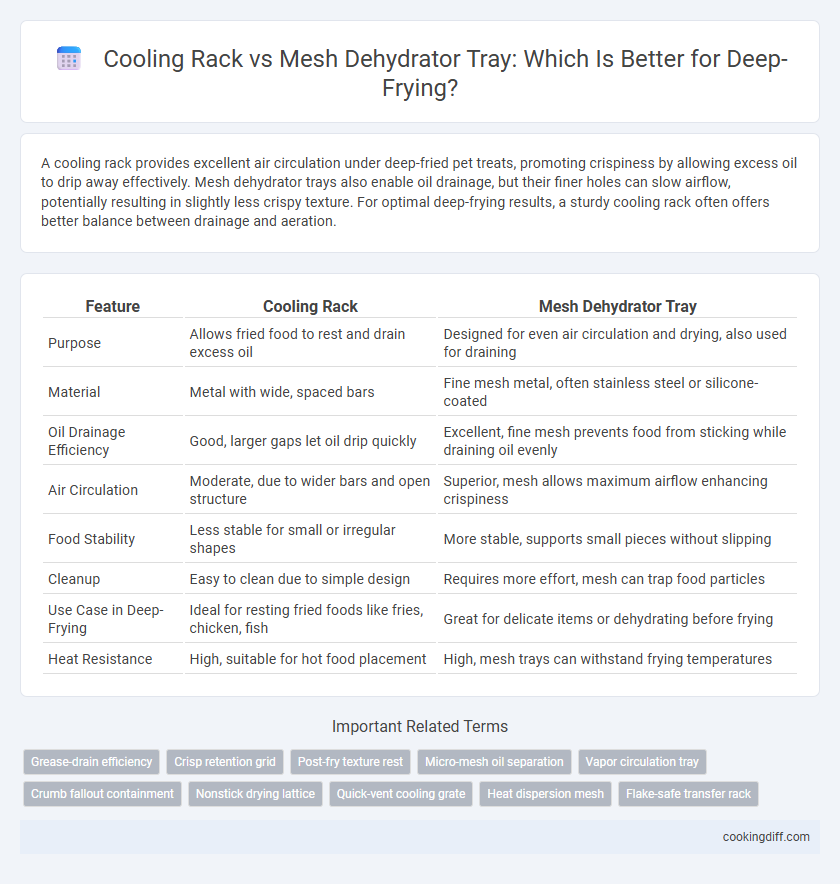 Cooling Rack vs Mesh Dehydrator Tray: Which Is Better for Deep-Frying?