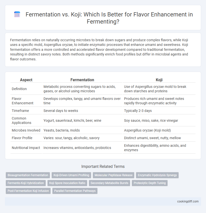 Fermentation vs. Koji: Which Is Better for Flavor Enhancement in Fermenting?