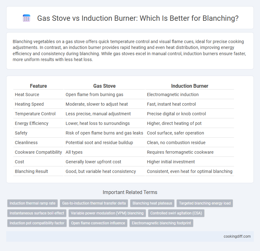 Gas Stove vs Induction Burner: Which Is Better for Blanching?