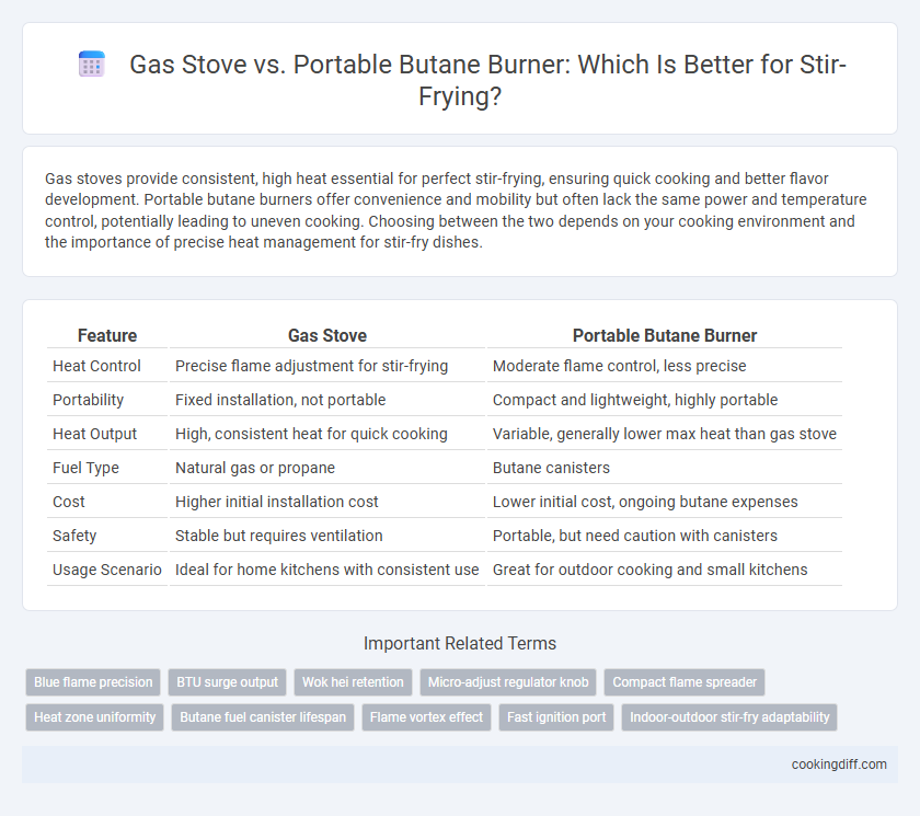 Gas Stove vs. Portable Butane Burner: Which Is Better for Stir-Frying?