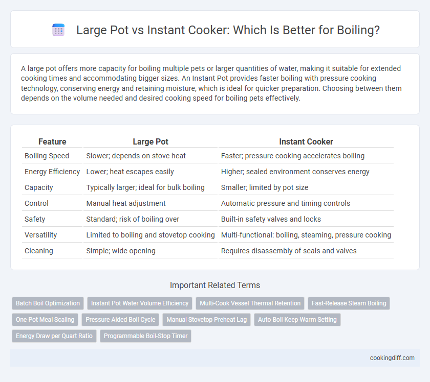 Large Pot vs Instant Cooker: Which Is Better for Boiling?