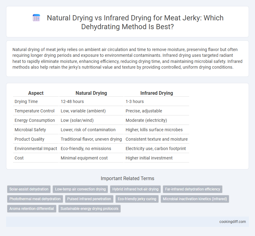 Natural Drying vs Infrared Drying for Meat Jerky: Which Dehydrating Method Is Best?