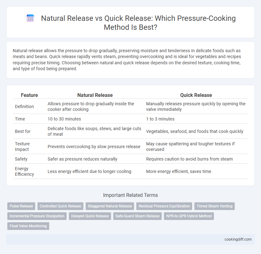 Natural Release vs Quick Release: Which Pressure-Cooking Method Is Best?