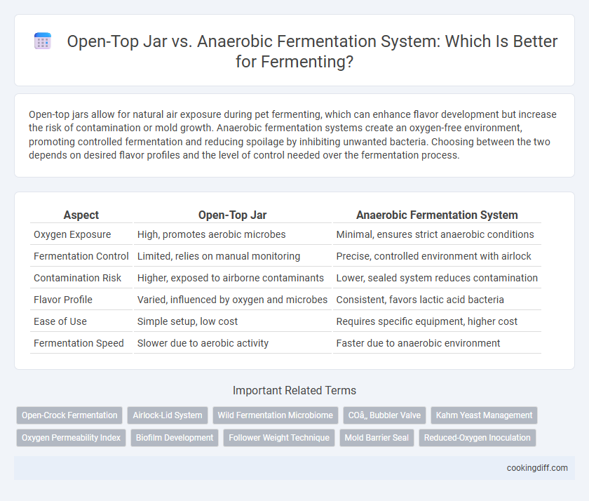 Open-Top Jar vs. Anaerobic Fermentation System: Which Is Better for Fermenting?