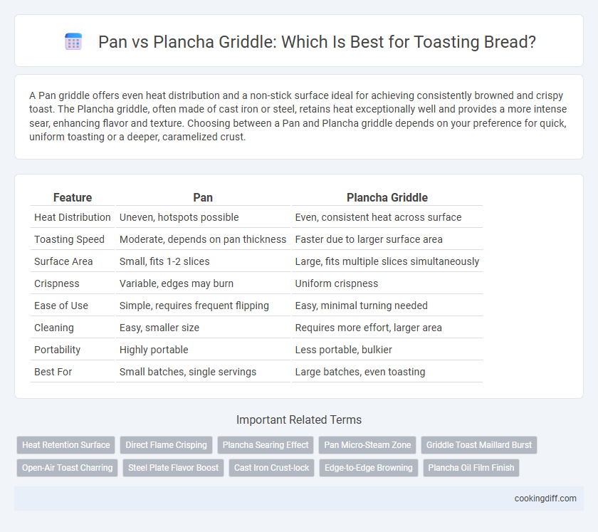 Pan vs Plancha Griddle: Which Is Best for Toasting Bread?