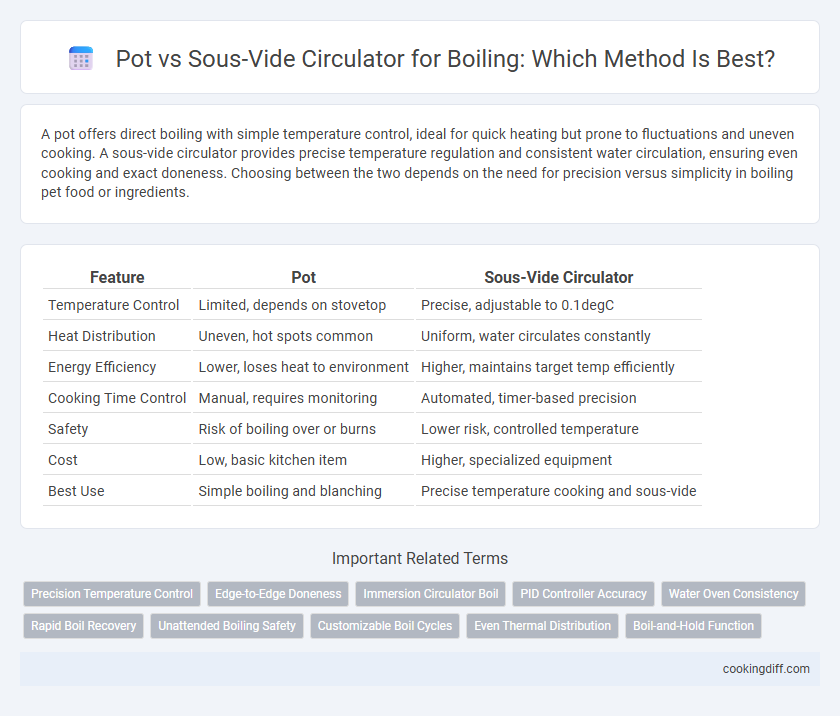 Pot vs Sous-Vide Circulator for Boiling: Which Method Is Best?