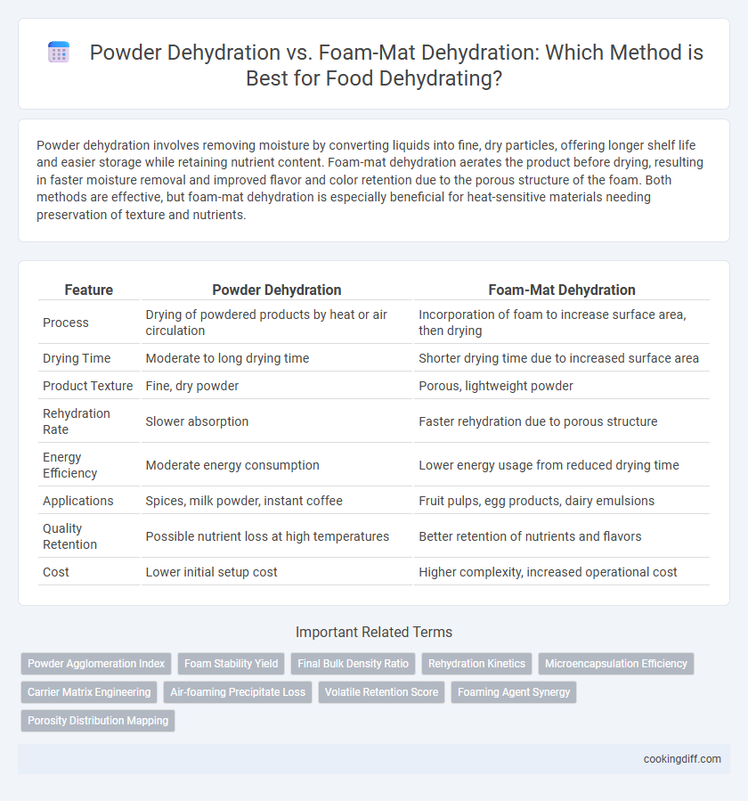 Powder Dehydration vs. Foam-Mat Dehydration: Which Method is Best for Food Dehydrating?