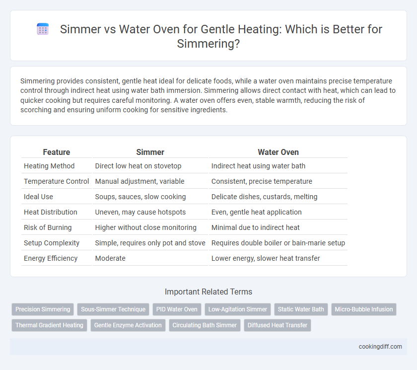 Simmer vs Water Oven for Gentle Heating: Which is Better for Simmering?