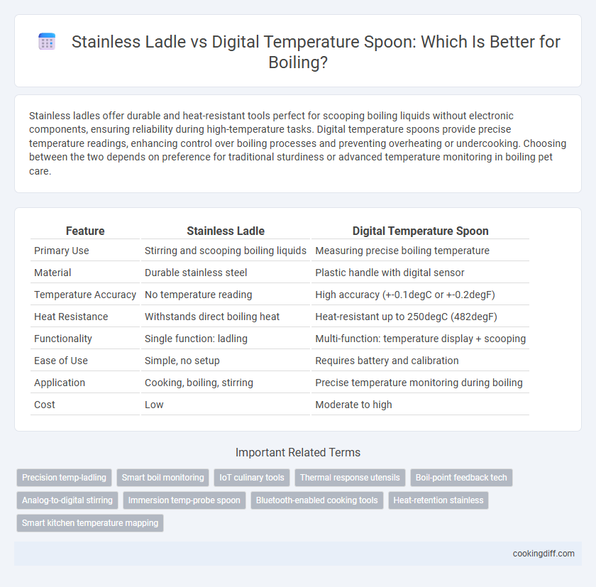 Stainless Ladle vs Digital Temperature Spoon: Which Is Better for Boiling?