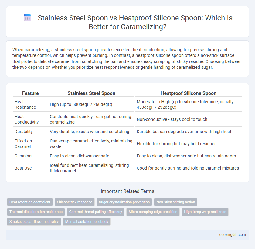 Stainless Steel Spoon vs Heatproof Silicone Spoon: Which Is Better for Caramelizing?
