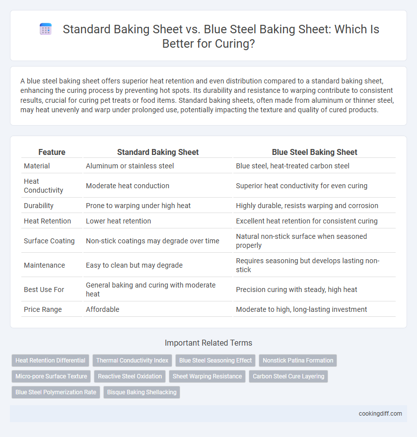 Standard Baking Sheet vs. Blue Steel Baking Sheet: Which Is Better for Curing?