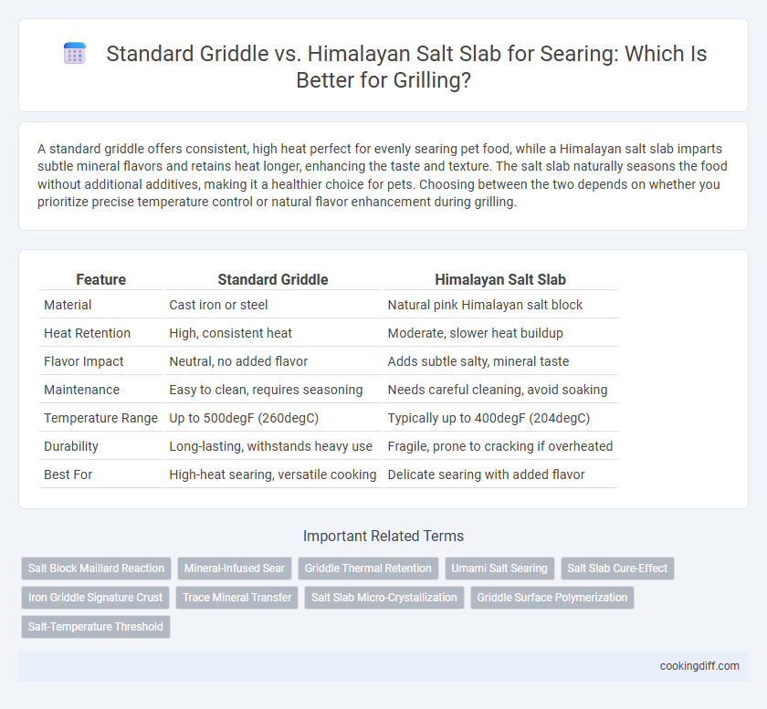 Standard Griddle vs. Himalayan Salt Slab for Searing: Which Is Better for Grilling?