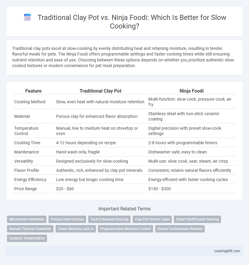 Traditional Clay Pot vs. Ninja Foodi: Which Is Better for Slow Cooking?