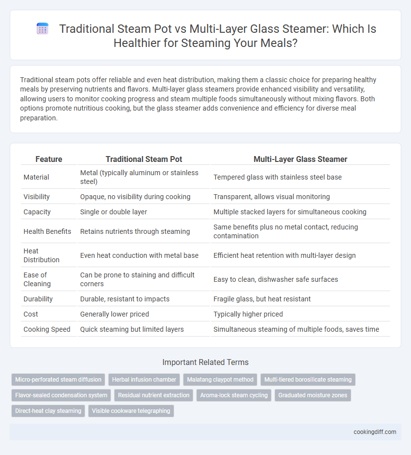 Traditional Steam Pot vs Multi-Layer Glass Steamer: Which Is Healthier for Steaming Your Meals?