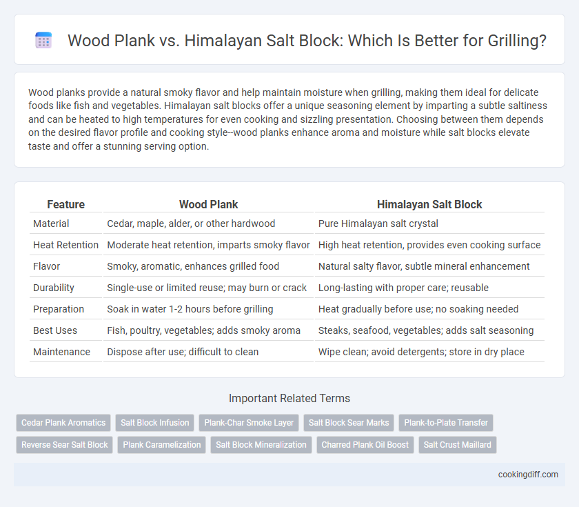 Wood Plank vs. Himalayan Salt Block: Which Is Better for Grilling?