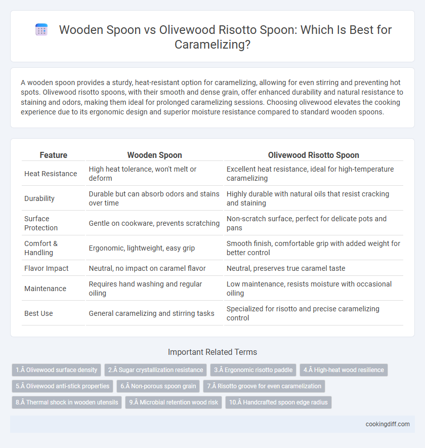 Wooden Spoon vs Olivewood Risotto Spoon: Which Is Best for Caramelizing?