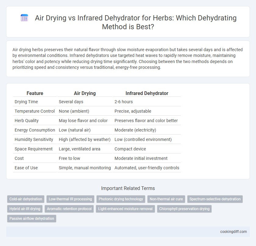 Air Drying vs Infrared Dehydrator for Herbs: Which Dehydrating Method is Best?