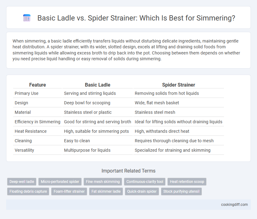 Basic Ladle vs. Spider Strainer: Which Is Best for Simmering?