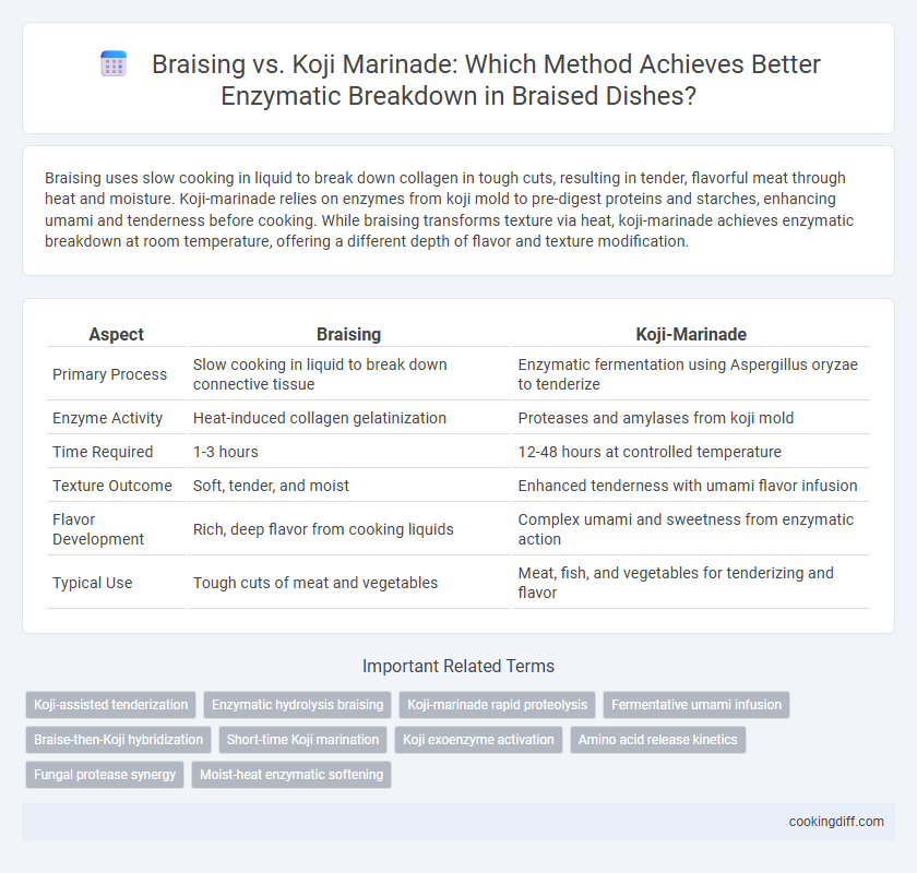 Braising vs. Koji Marinade: Which Method Achieves Better Enzymatic Breakdown in Braised Dishes?