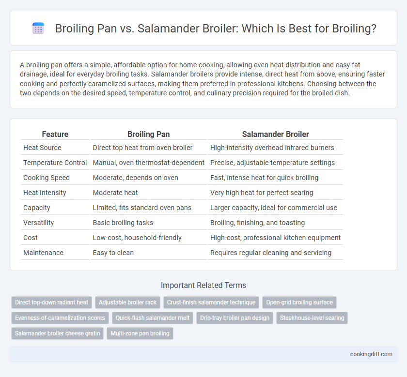 Broiling Pan vs. Salamander Broiler: Which Is Best for Broiling?