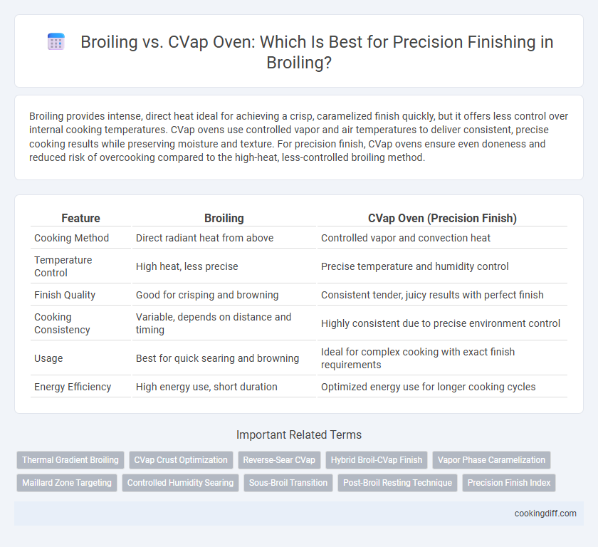 Broiling vs. CVap Oven: Which Is Best for Precision Finishing in Broiling?