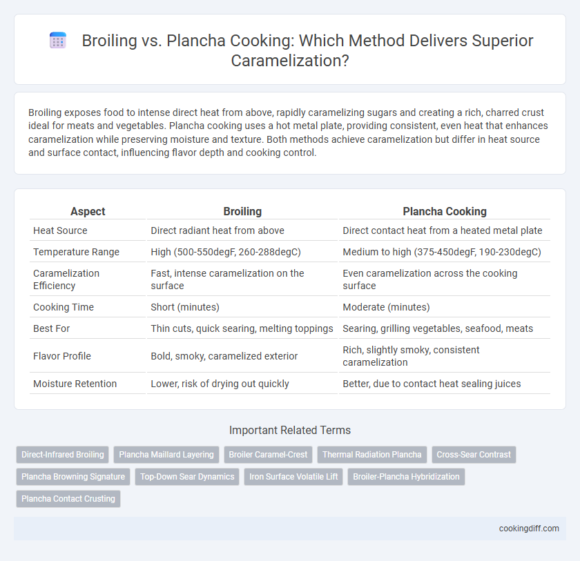 Broiling vs. Plancha Cooking: Which Method Delivers Superior Caramelization?