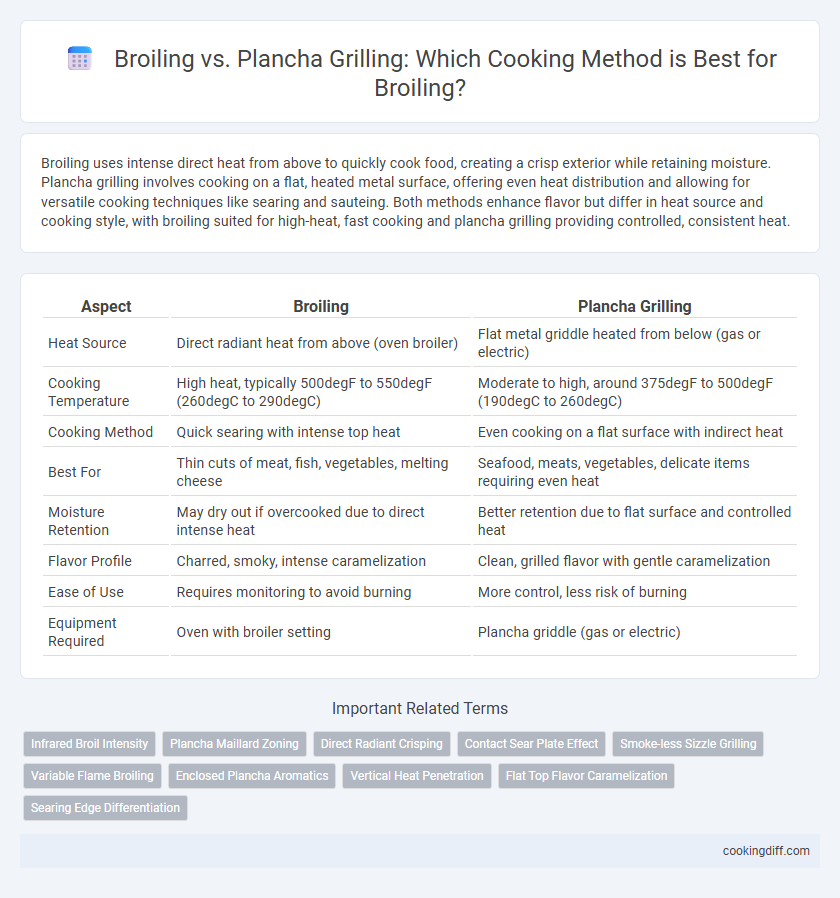 Broiling vs. Plancha Grilling: Which Cooking Method is Best for Broiling?