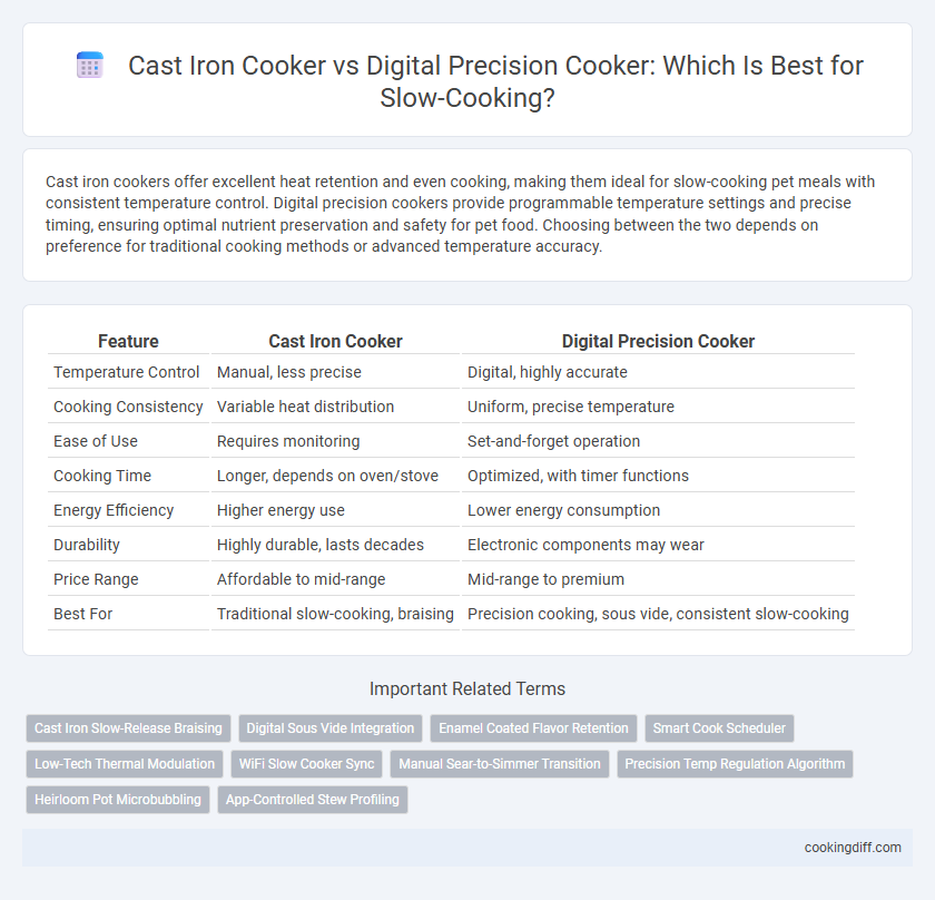 Cast Iron Cooker vs Digital Precision Cooker: Which Is Best for Slow-Cooking?