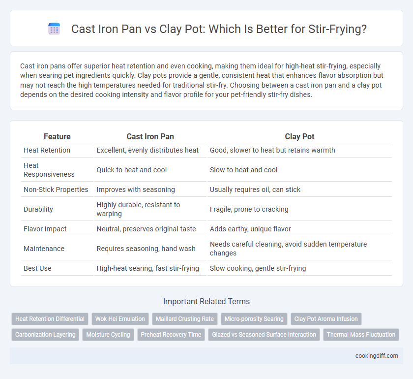 Cast Iron Pan vs Clay Pot: Which Is Better for Stir-Frying?
