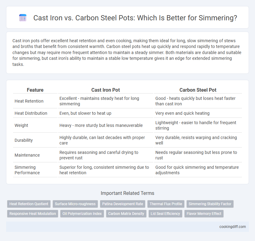 Cast Iron vs. Carbon Steel Pots: Which Is Better for Simmering?