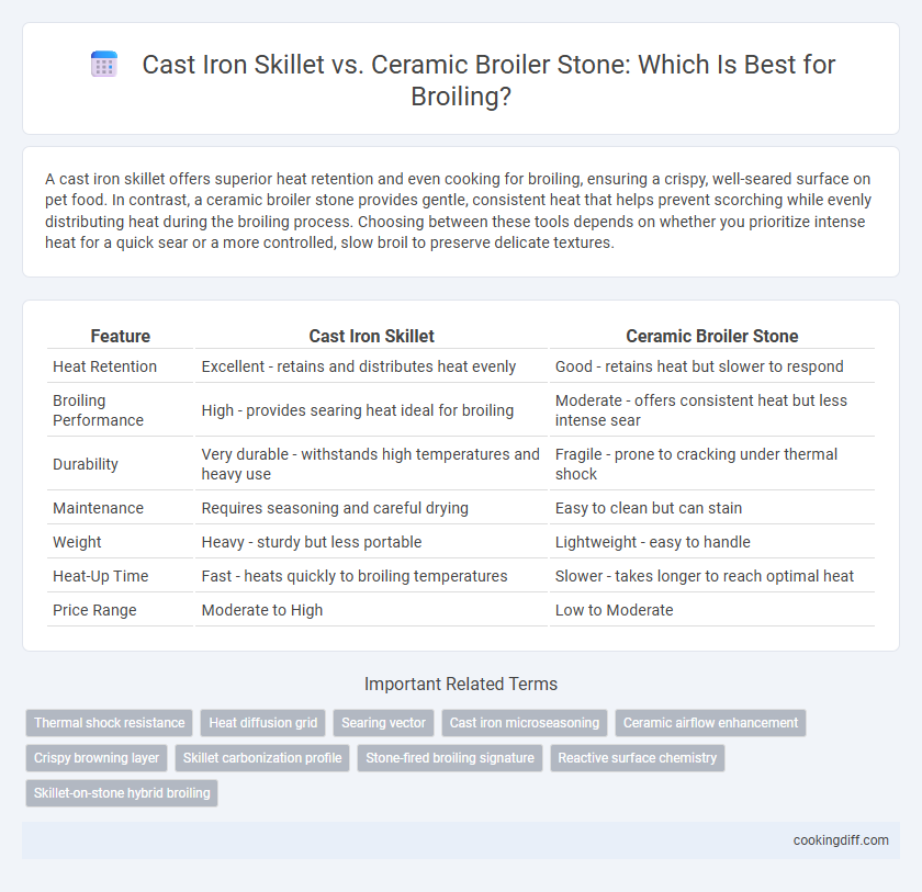 Cast Iron Skillet vs. Ceramic Broiler Stone: Which Is Best for Broiling?