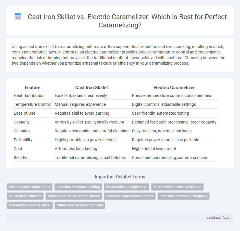 Cast Iron Skillet vs. Electric Caramelizer: Which Is Best for Perfect Caramelizing?