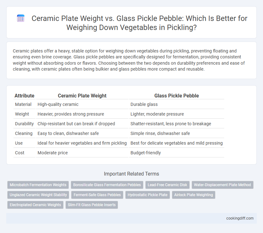 Ceramic Plate Weight vs. Glass Pickle Pebble: Which Is Better for Weighing Down Vegetables in Pickling?