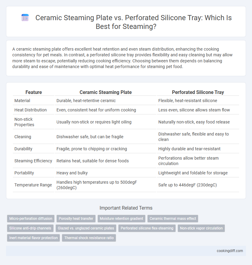 Ceramic Steaming Plate vs. Perforated Silicone Tray: Which Is Best for Steaming?
