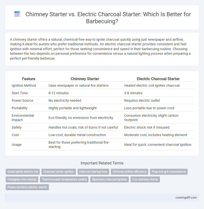 Chimney Starter vs. Electric Charcoal Starter: Which Is Better for Barbecuing?